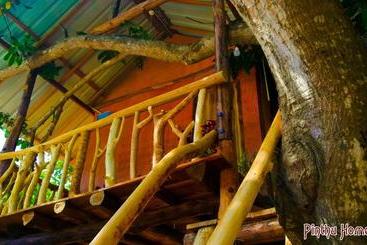 Bed and Breakfast Pinthu Home Stay