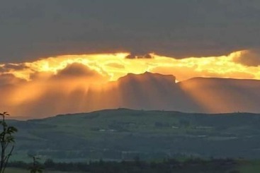 بنسيون Sycamore Avenue Treehouses & Cottages Accommodation