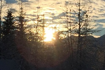 Aamiaismajoitus (B&B) Guesthouse Austria