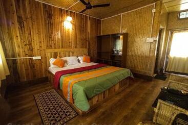 Grasshopper Jungle Queen Resort