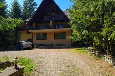 Pensione Vis De Munte