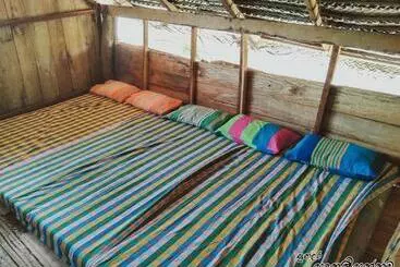 Bed and Breakfast Jungle Surf Camp