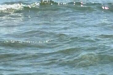 بنسيون Supermamy