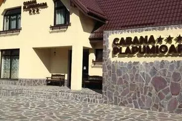 Majatalo Cabana Plapumioara