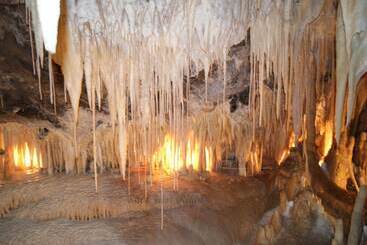 ベッドアンドブレックファースト Cradle Alpine Retreat