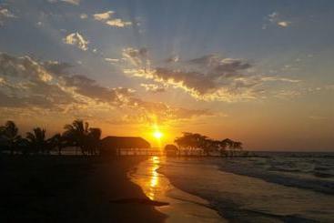 هتل Playa Tiburón