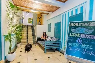 Hostel Moustache Udaipur