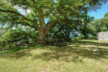 Driùs Edodè   B&b Affittacamere