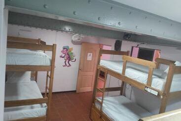 Purple Monkey Hostel