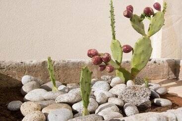 Nocleg ze śniadaniem Casina Dei Nonni