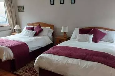 Elderberry B&b