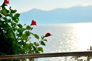 ホテル Ibusuki Iwasaki