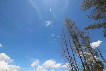 Hotel On Green Resort