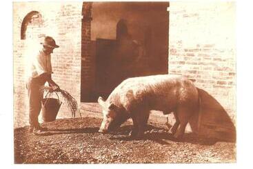 فندق Tenuta La Fratta