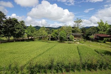 בית מלון כפרי Love Pai Home