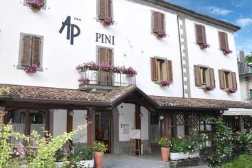 בית מלון כפרי Pini