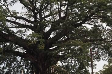 هتل Atlantic Lumley