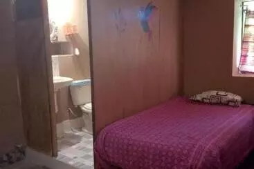 Tony S House Eco Hostel