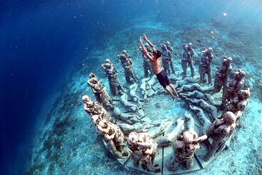 The Rabbit Tree Hostel