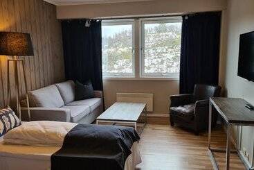 בית מלון כפרי Skinnarbu