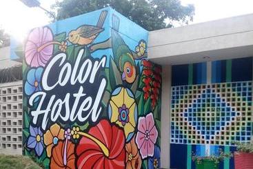 Color Hostel Palomino