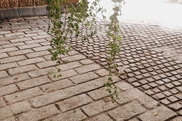 Отель Artisan Villa Colombo