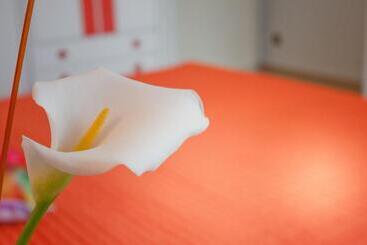 호텔 Albergo La Rosetta