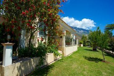 ホテル Eleftheria Studios