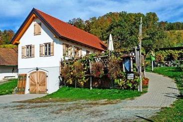 בית מלון כפרי Kirchenwirt Mirth