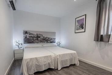 Apartamentos Turísticos Domus Seleqtia Plaza Mayor