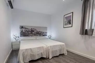 Apartamentos Turísticos Domus Seleqtia Plaza Mayor