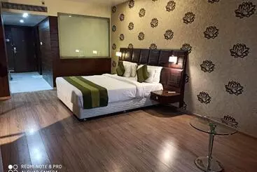 Hotel Patliputra Exotica