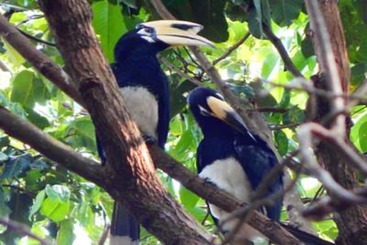 酒店 Jj Beach Resort