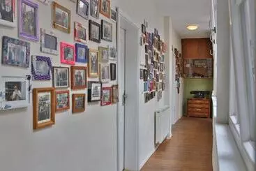 هتل Lotte Hostel