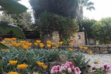 דירות לתיירים De Michanna