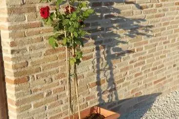 Hotelli L Isola Che Non C Era