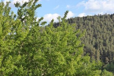 公寓 Domaine Aigoual Cevennes