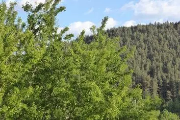 Appartement Domaine Aigoual Cevennes