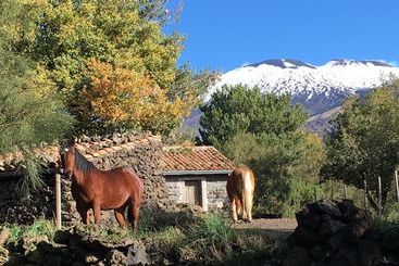 فندق Il Frutteto Di Efesto