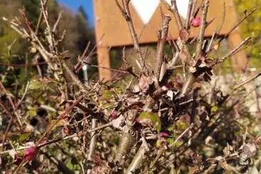 ペンション Gästehaus Waldeck