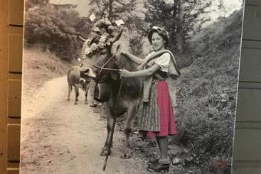 Pensão Schittlerhaus