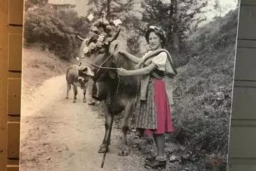 Pansiyon Schittlerhaus