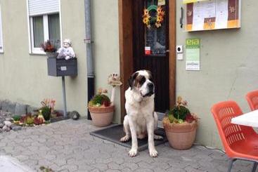 Herberge La Cantina Restaurant