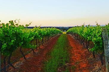 بنسيون Red Door Collective Rdc Vineyard Estate, Luxury Adult Only Stay