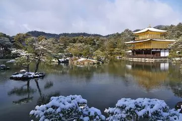 پانسیون Sakura Komachi