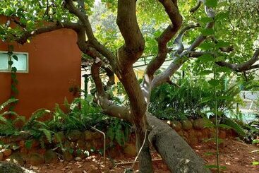 هاستل Inn Pondiville Forest Retreat