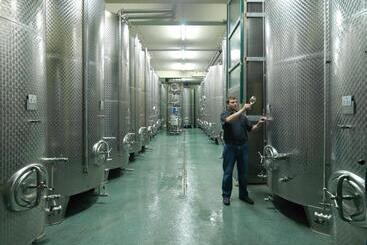 Pensionat Weingut Skoff Original