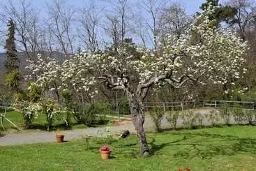 Hôtel Il Laghello Di Amina