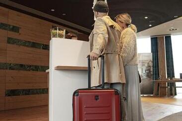 Andermatt Alpine Apartments