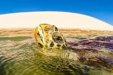 ペンション Pousada Beira Rio Parnaíba